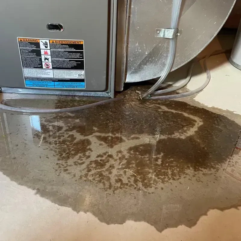 Appliance Leak Cleanup in Oakley, CA